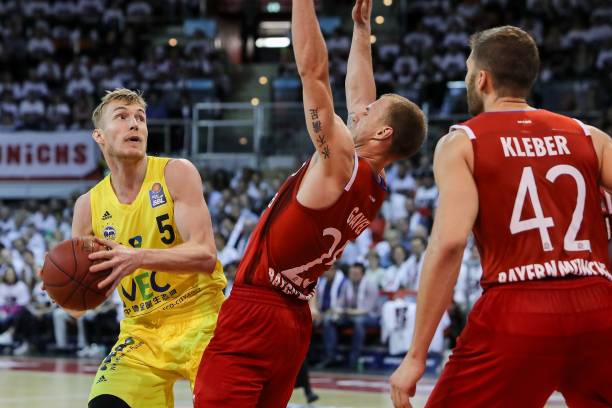 皇马希望今 皇马希望今