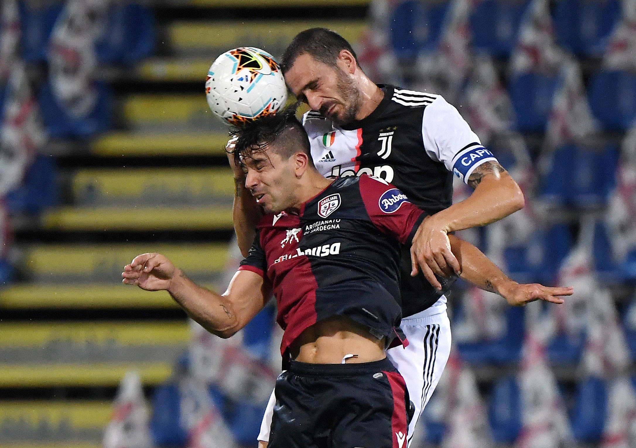 是外省的参 是外省的参